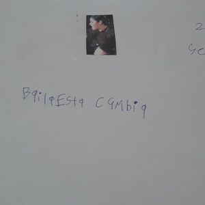 A Selena Quintanilla poster that I made